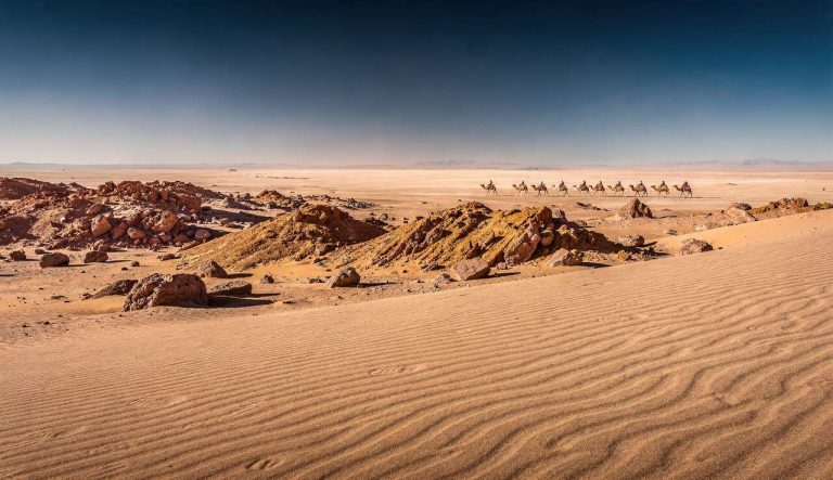 Chili, les messagers invisibles du désert d&rsquo;Atacama